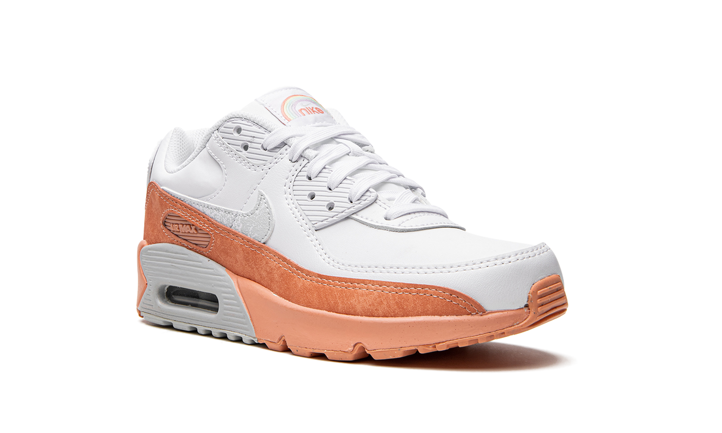 Air Max LTR 90 GS "White Light Madder Root" DM0956 100