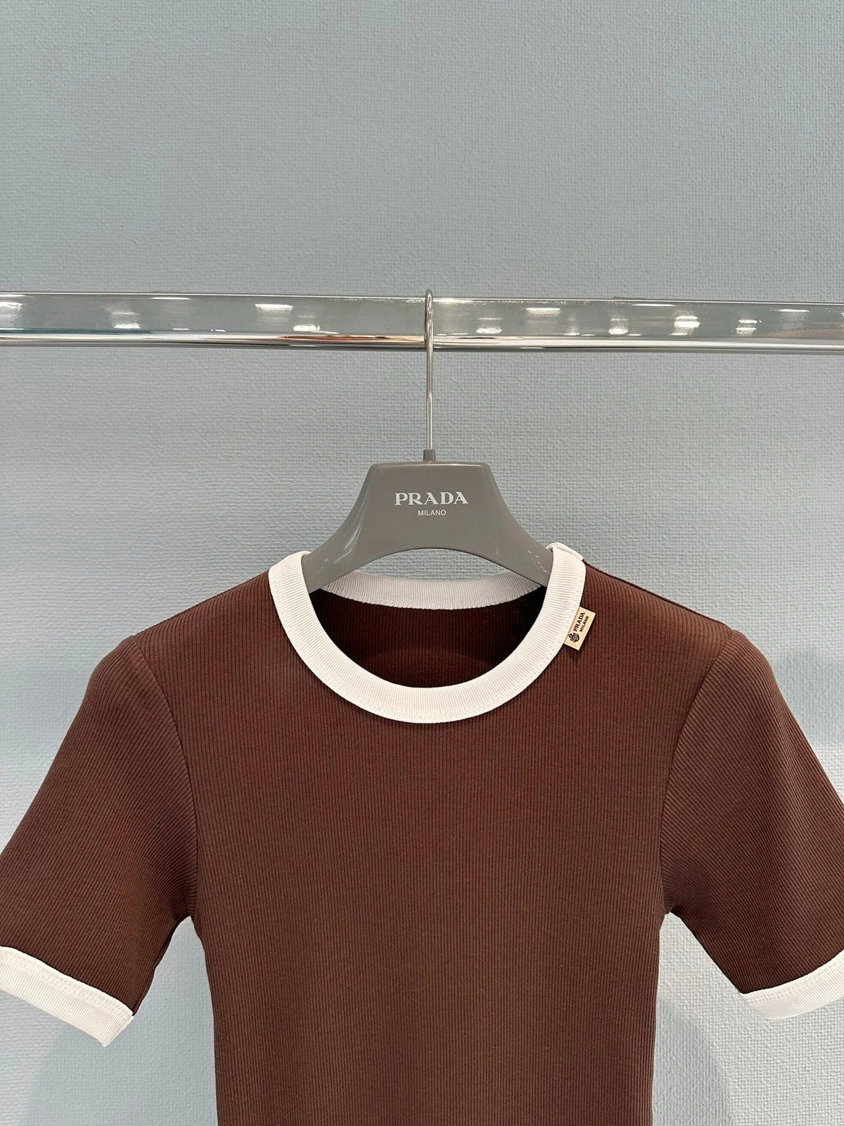 Prada 2026 Shirt Cotton 653681