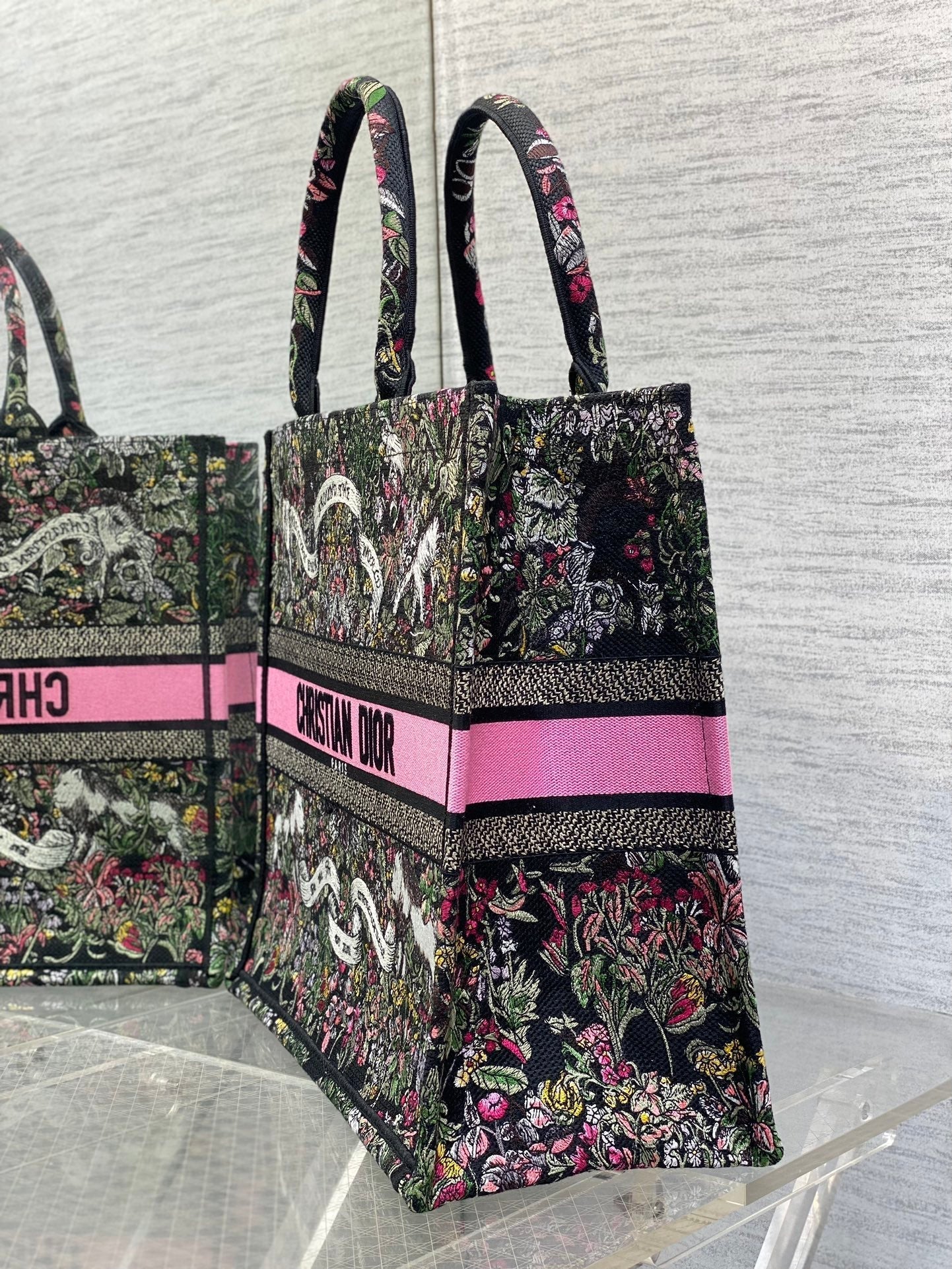 Dior 2026 Around The World Tote Bag Canvas 542528