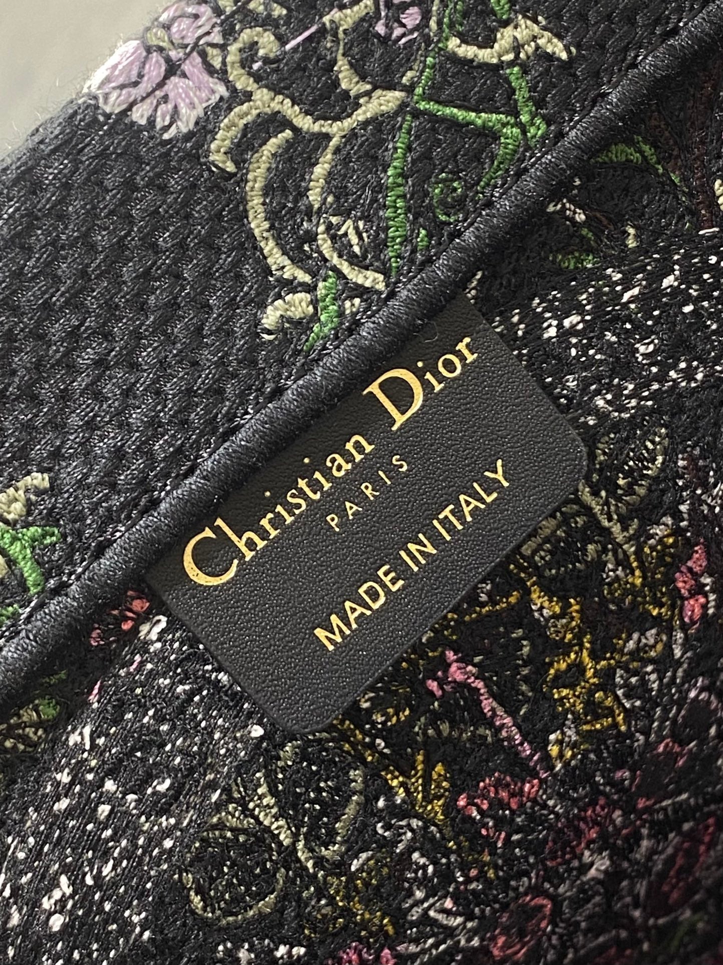 Dior 2026 Around The World Tote Bag Canvas 542528