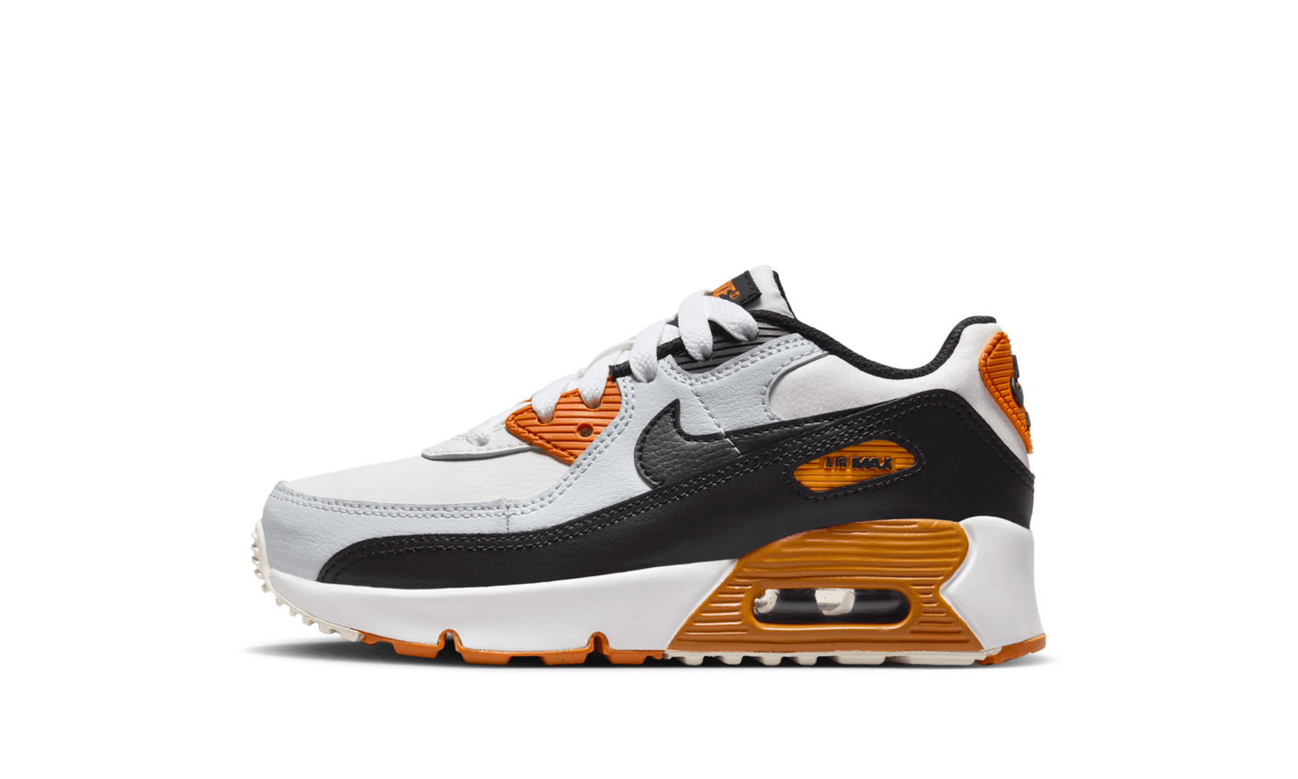 Air Max 90 LTR PS "PURE PLATINUM" CD6867 023