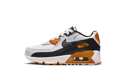 Air Max 90 LTR PS "PURE PLATINUM" CD6867 023