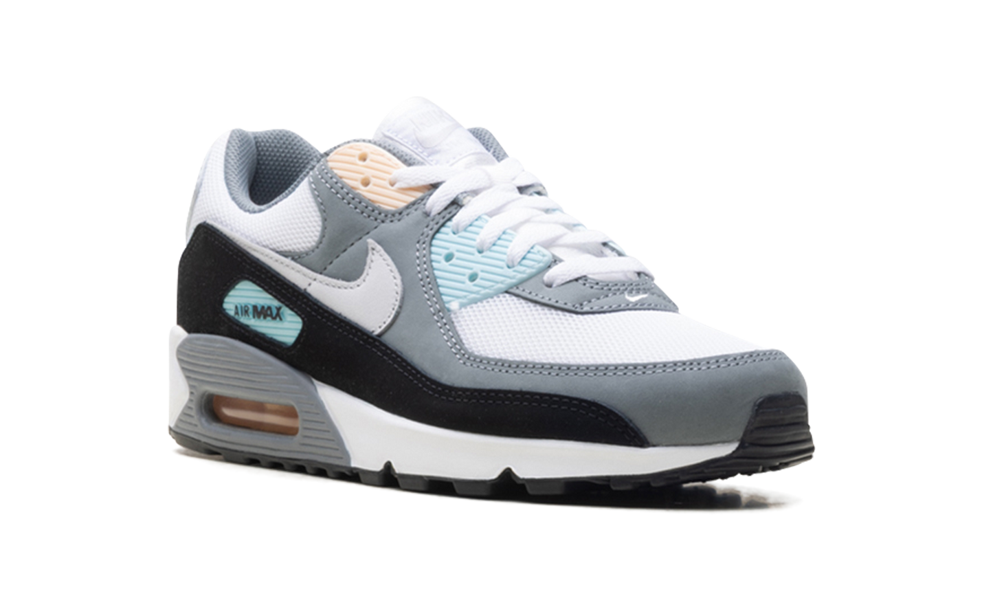 Air Max 90 "Cool Grey Pure Platinum Black" IB7674 001