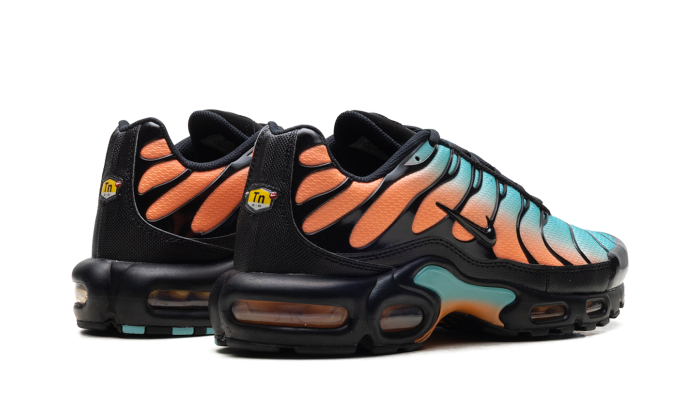 Air Max Plus "South Beach" DM0032 022