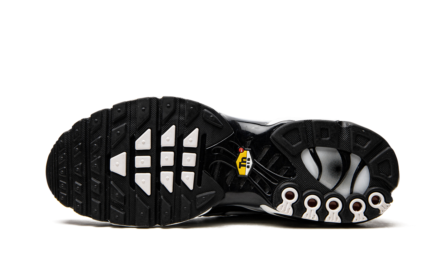 Air Max Plus "Black / Silver" DM0032 003
