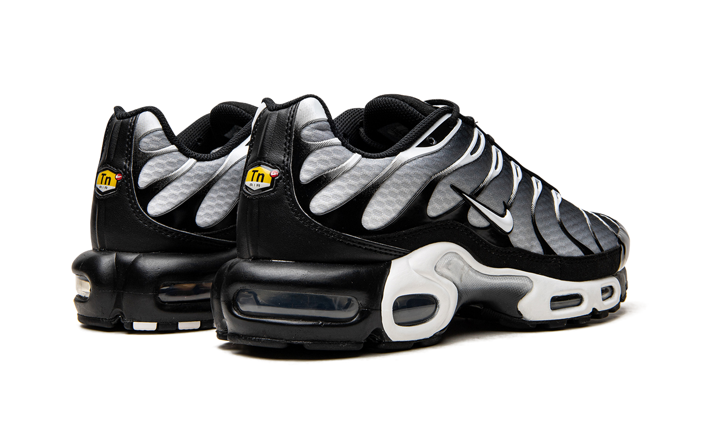 Air Max Plus "Black / Silver" DM0032 003