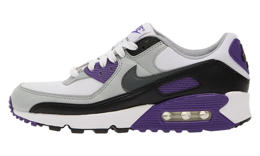 Air Max 90 WMNS "Neutral Grey Purple" DH8010 110