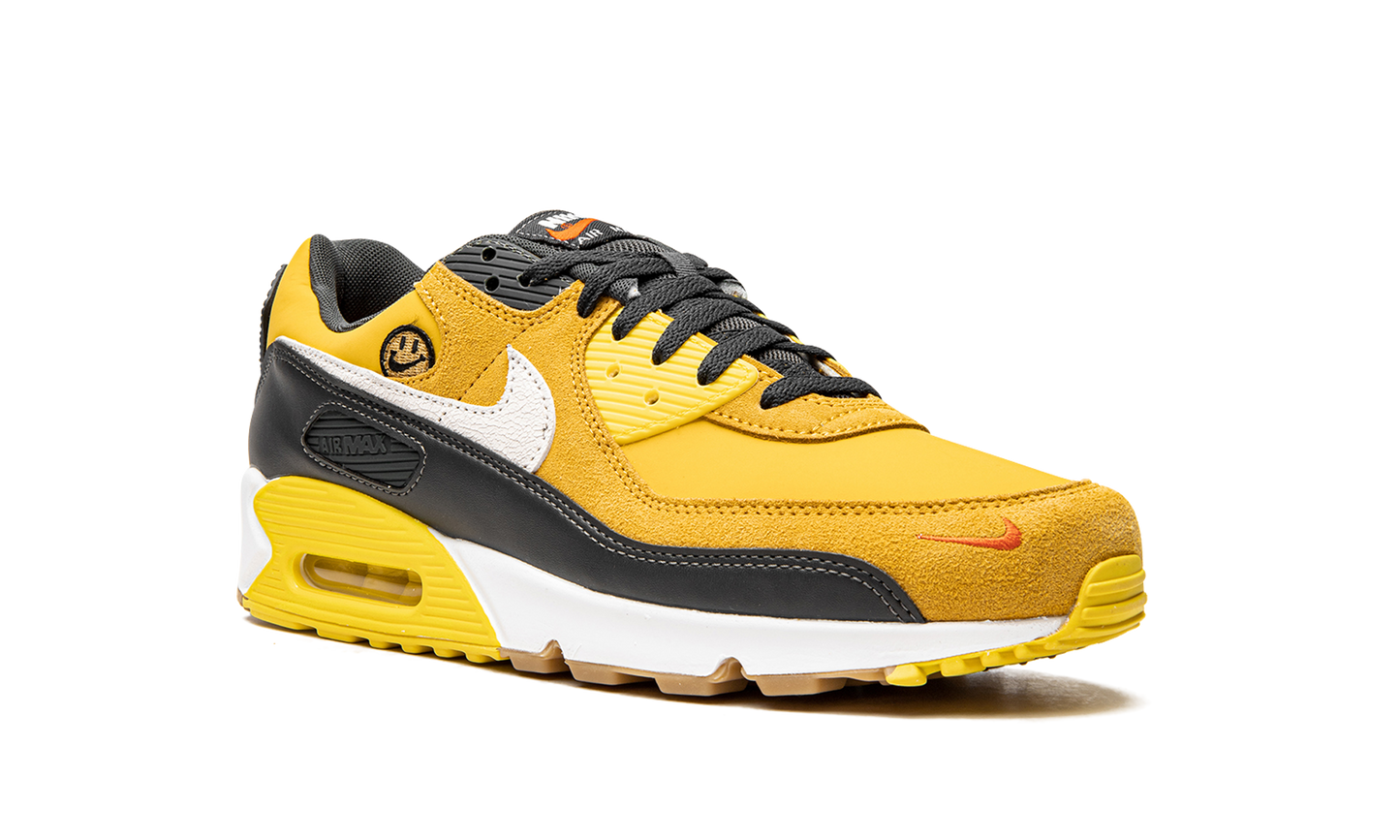 Air Max 90 "Go The Extra Smile" DO5848 700