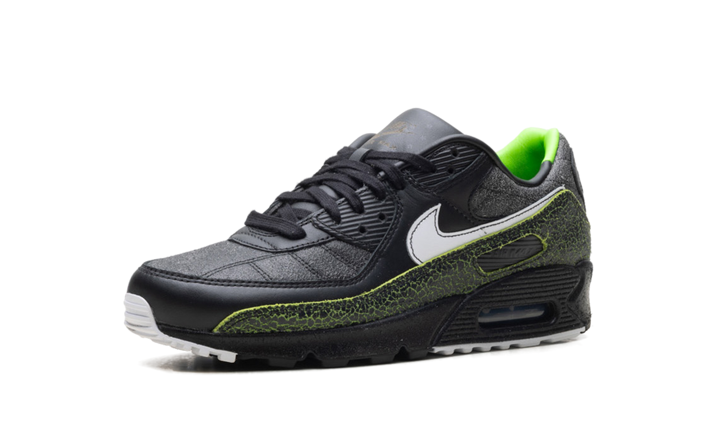 Air Max 90 "Tiempo 2005" IU0523 010