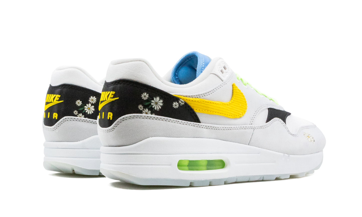 Air Max 1 "Daisy Pack" CW6031 100