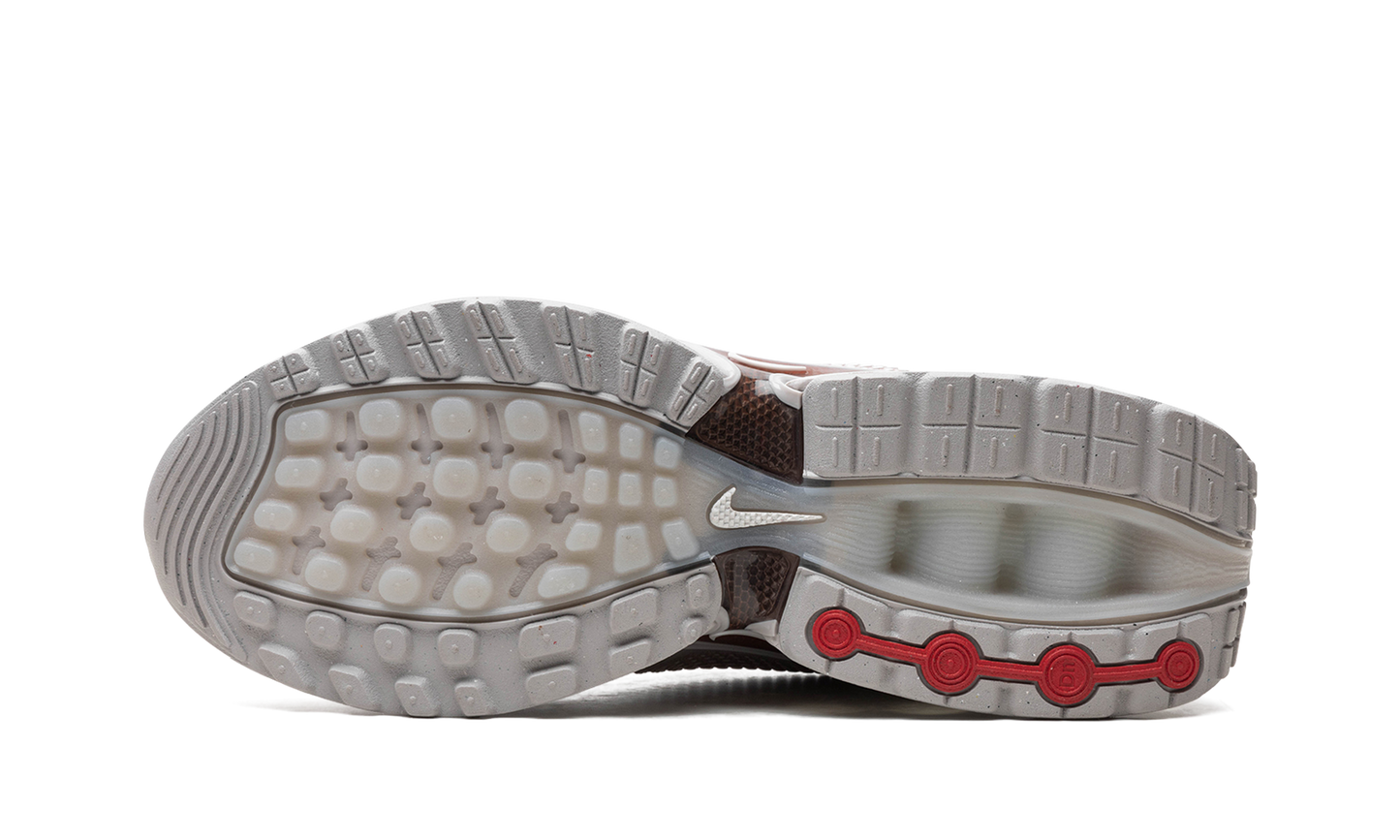 Air Max Dn "Light Orewood Brown" FJ3145 101