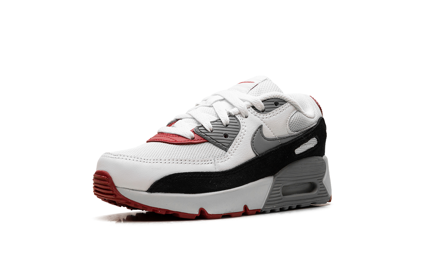 Air Max 90 PS "Photon Dust Grey" CD6867 019