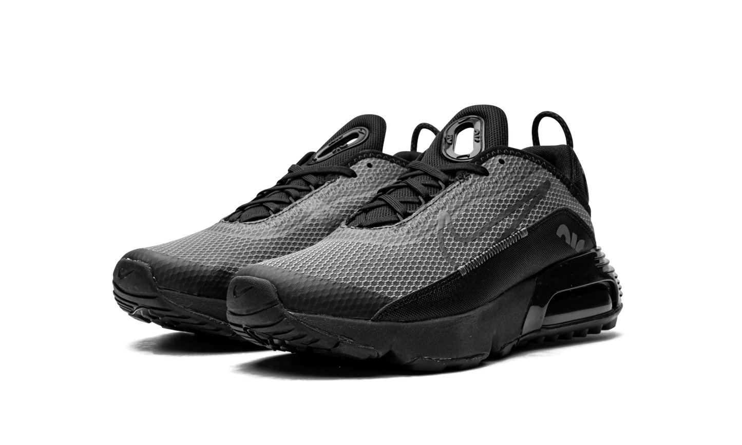 Air Max 2090(GS) "Black Wolf Grey" CJ4066 001