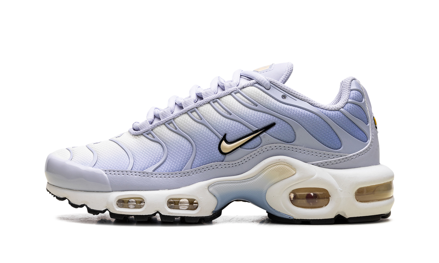 Air Max Plus WMNS "Daybreak" DZ3670 004