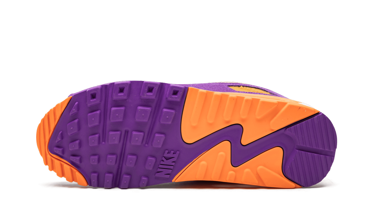 Air Max 90 "Viotech" CD0917 600