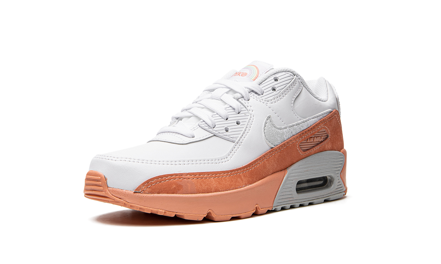 Air Max LTR 90 GS "White Light Madder Root" DM0956 100