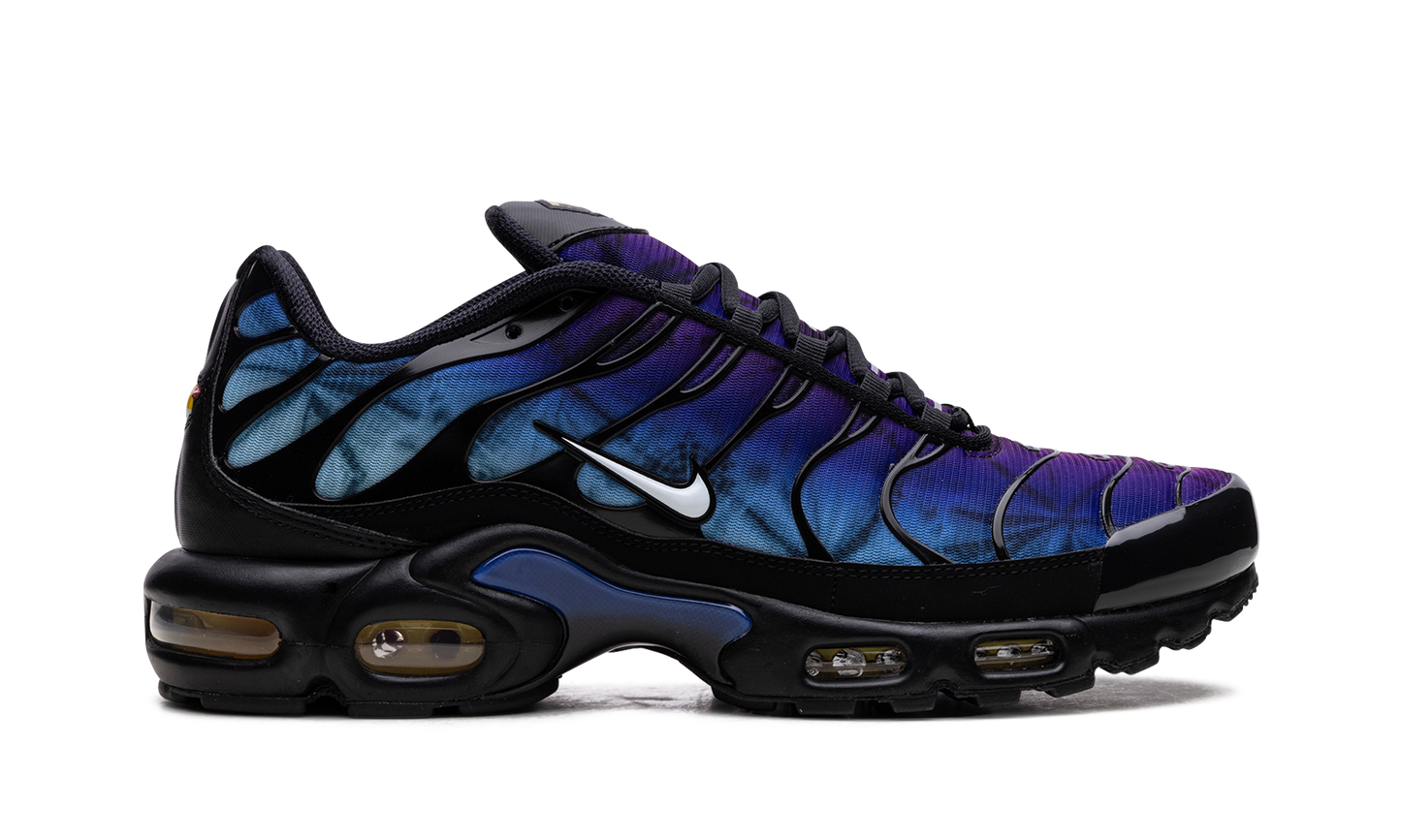 Air Max Plus "25th Anniversary" FV0393 001