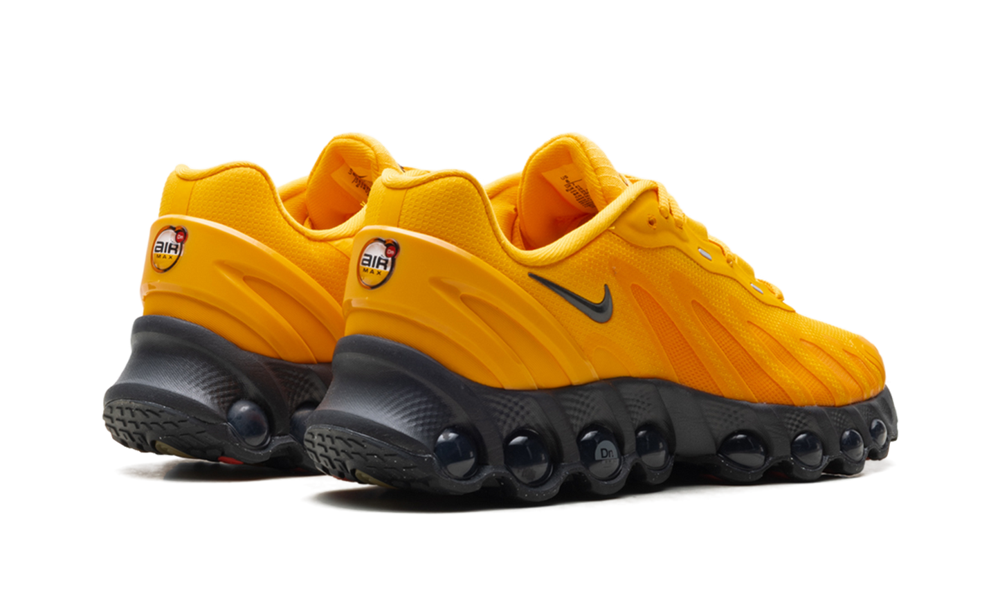 Air Max Dn8 "Sundial" IM7405 700
