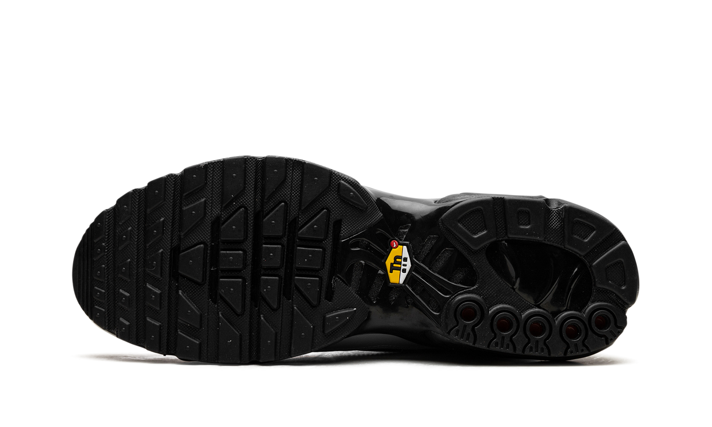 Air Max Plus "Wolf Grey" HM6850 001