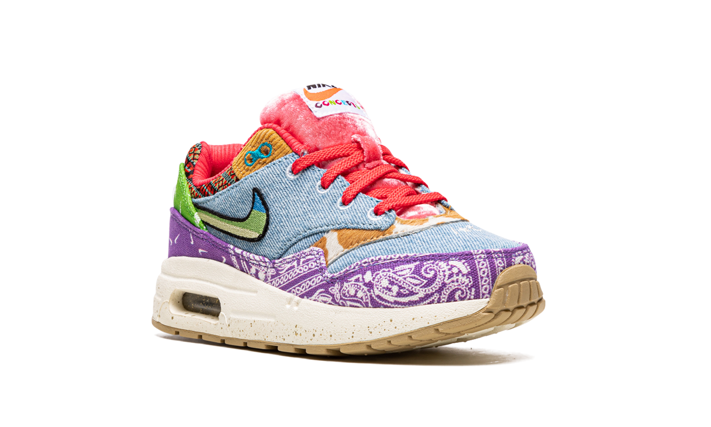 Air Max 1 PS "Concepts Far Out" DR2362 100