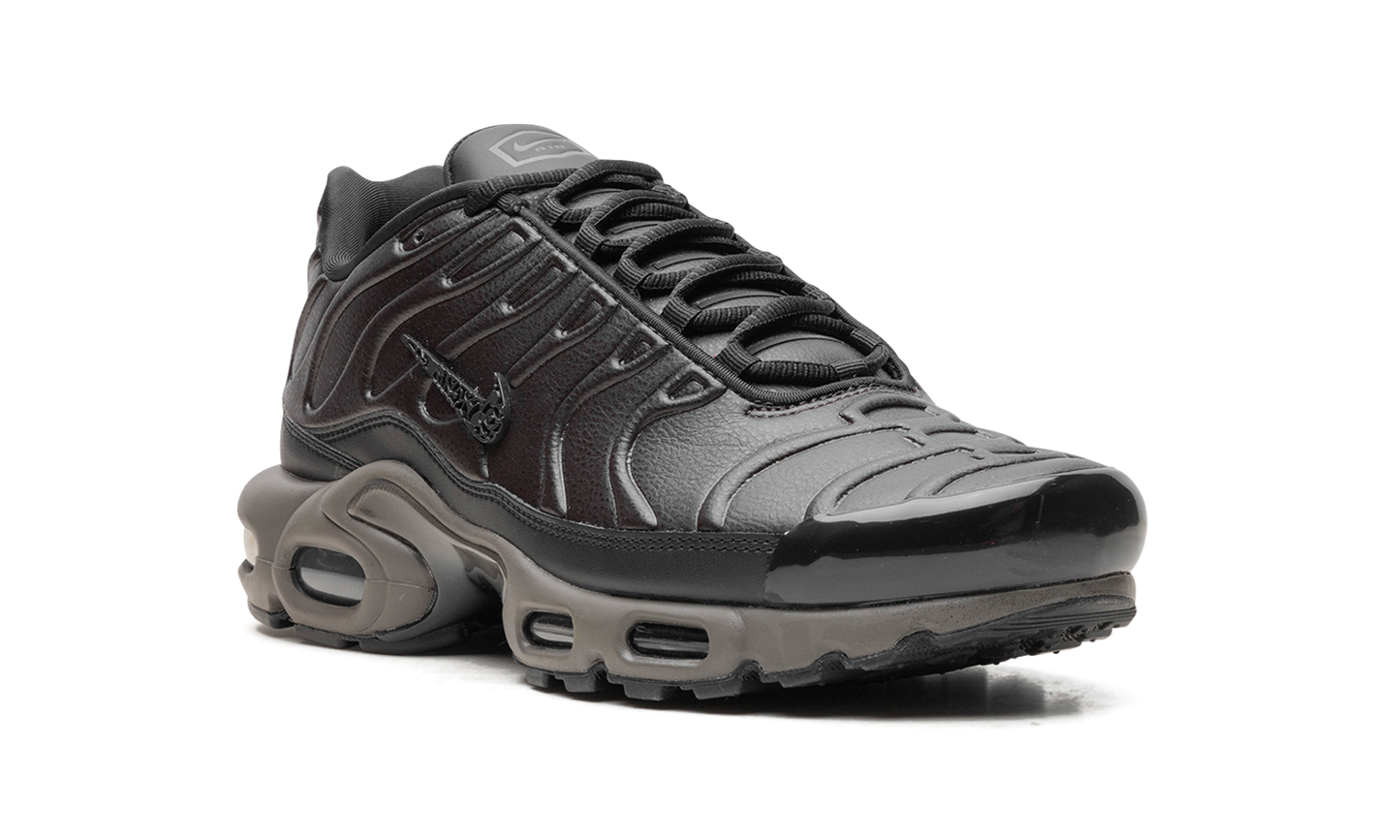 Air Max Plus "Black Tea / Petra Brown" "Black Tea / Petra Brown" HJ4519 200