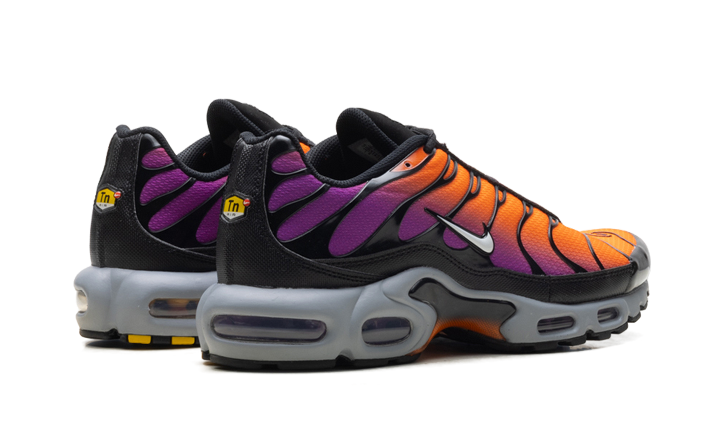 Air Max Plus "Desert Sunset" DM0032 014