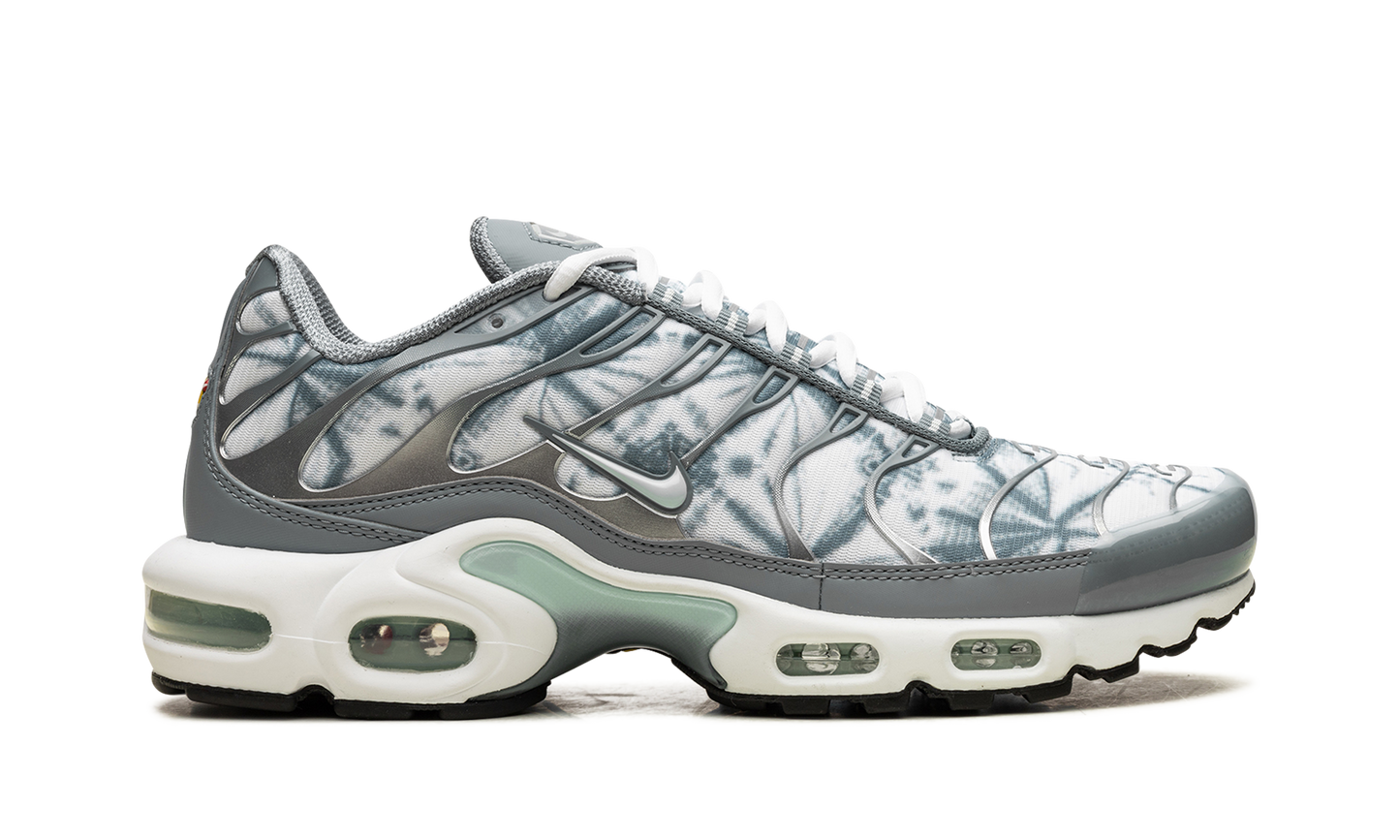 Air Max Plus "Waterway" FV0394 300