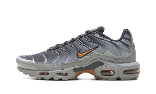 Air Max Plus "Light Smoke Grey Hot Curry" DM0032 037