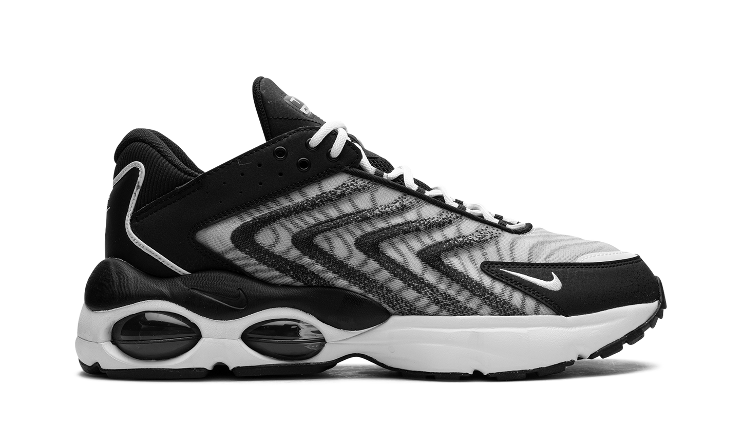 Air Max TW "Black White" DQ3984 001