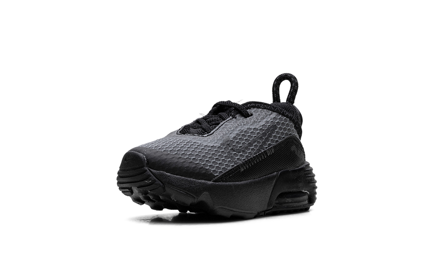 Air Max 2090 TD "Black Wolf Grey" CU2092 001