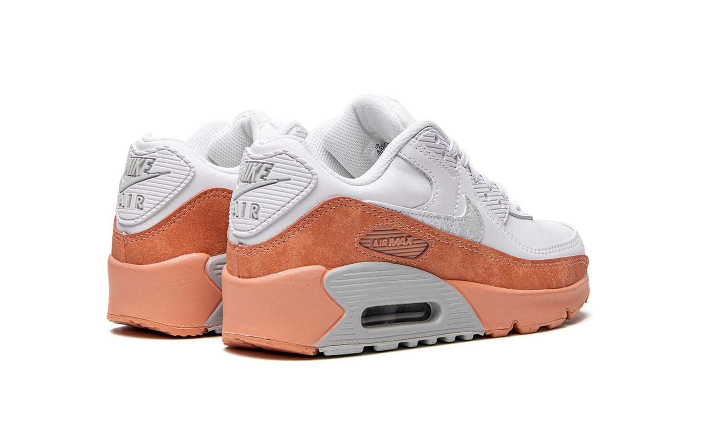 Air Max LTR 90 GS "White Light Madder Root" DM0956 100