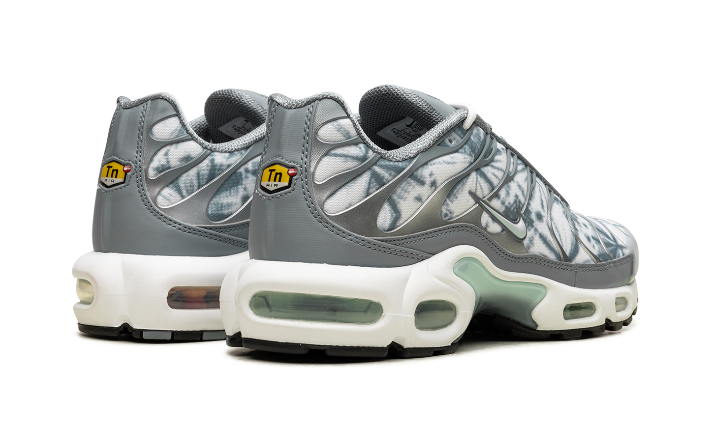 Air Max Plus "Waterway" FV0394 300