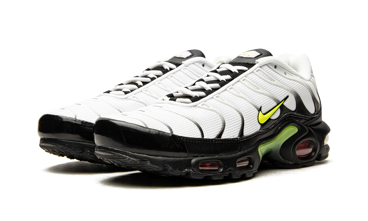Air Max Plus "Retro Future" AJ2013 100