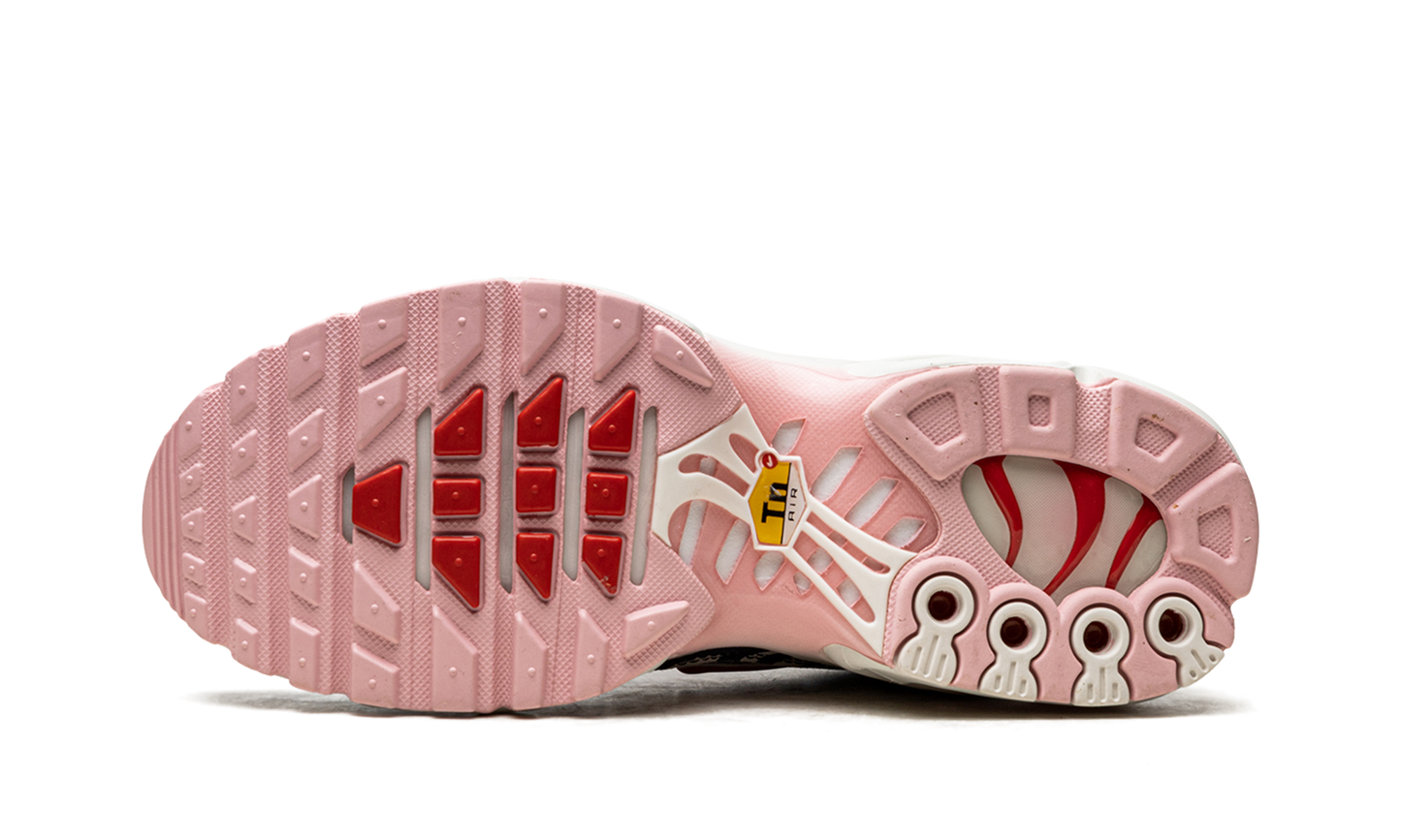 AIR MAX PLUS MNS WMNS "Animal Instinct" DZ4842 600